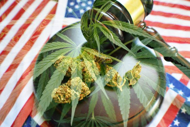 Wisconsin’s Wait Continues: The Stalled Journey Toward Medical Cannabis Legalization