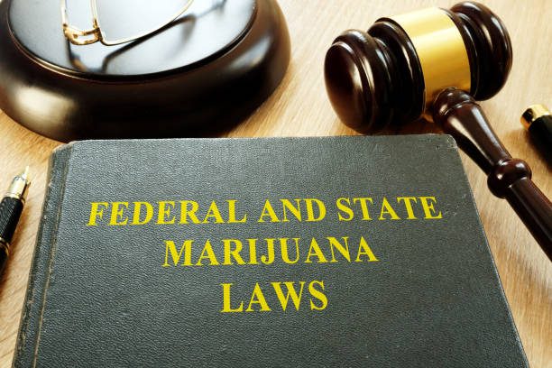Urgent Plea: Law Enforcement Leaders Call for Cannabis Rescheduling