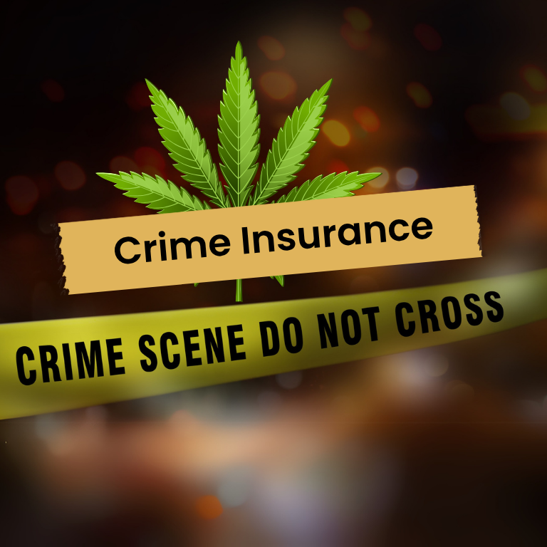 latest news