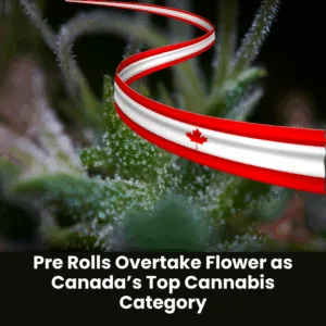 Pre Rolls Overtake Flower as Canada’s Top Cannabis Category