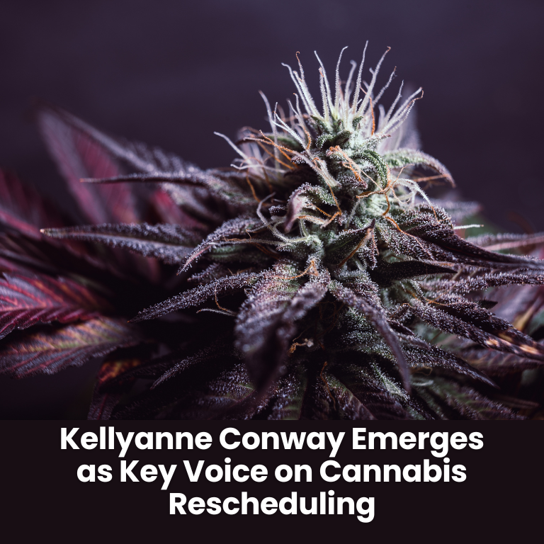 latest news
