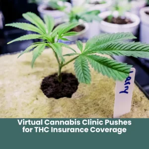 THC Insurance Coverage