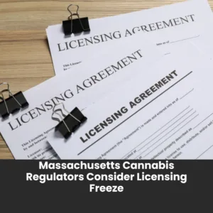 Massachusetts Cannabis Regulators Consider Licensing Freeze