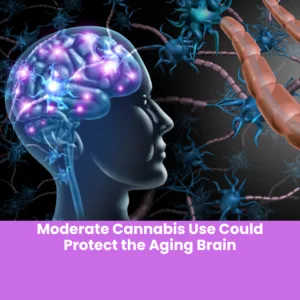 Moderate Cannabis Use Could Protect the Aging Brain
