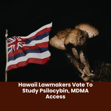 Hawaii Lawmakers Vote To Study Psilocybin, MDMA Access