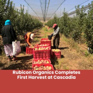 Rubicon Organics