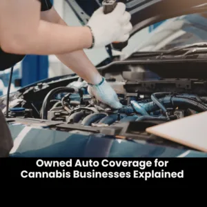 Auto Coverage