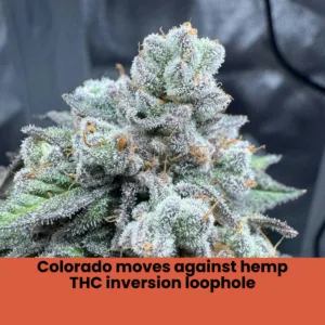 Colorado moves against hemp THC inversion loophole