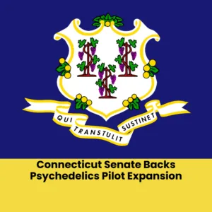 Connecticut Senate Backs Psychedelics Pilot Expansion