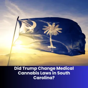 Did Trump Accidentally Legalize Medical Cannabis in SC?