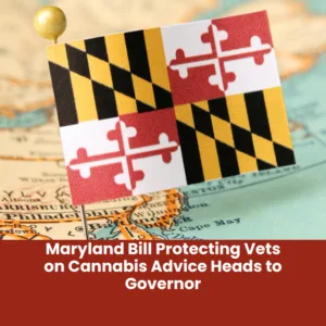 Maryland Moves to Shield Vets Recommending Cannabis for Pets