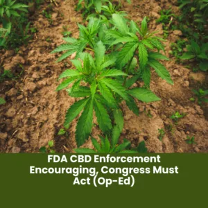 FDA CBD Enforcement Encouraging, Congress Must Act (Op-Ed)