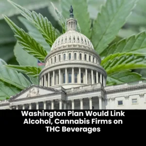 Mayor Proposes Alcohol Cannabis Collaboration for THC Drinks