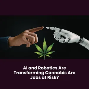 AI and Robotics Are Transforming Cannabis Are Jobs at Risk?