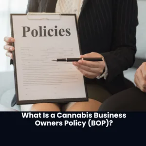 What Is a Cannabis Business Owners Policy (BOP)?