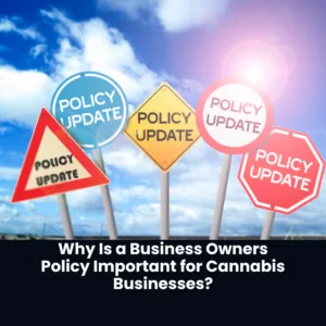 Why Cannabis Businesses Need a Business Owners Policy