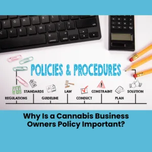 Why Is a Cannabis Business Owners Policy Important?
