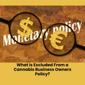 What Is Excluded From a Cannabis Business Owners Policy?